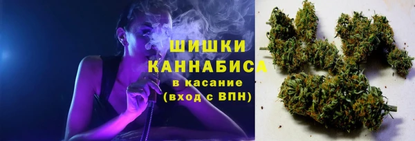 дживик Медвежьегорск