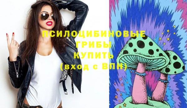спиды Мегион
