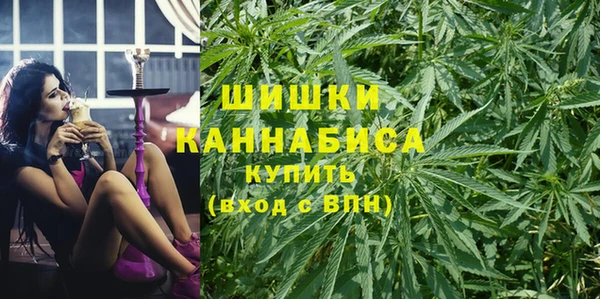бошки Мегион