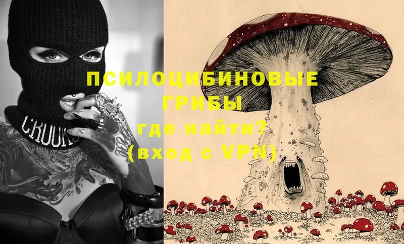 как найти   Урай  МЕГА ссылки  Галлюциногенные грибы прущие грибы 