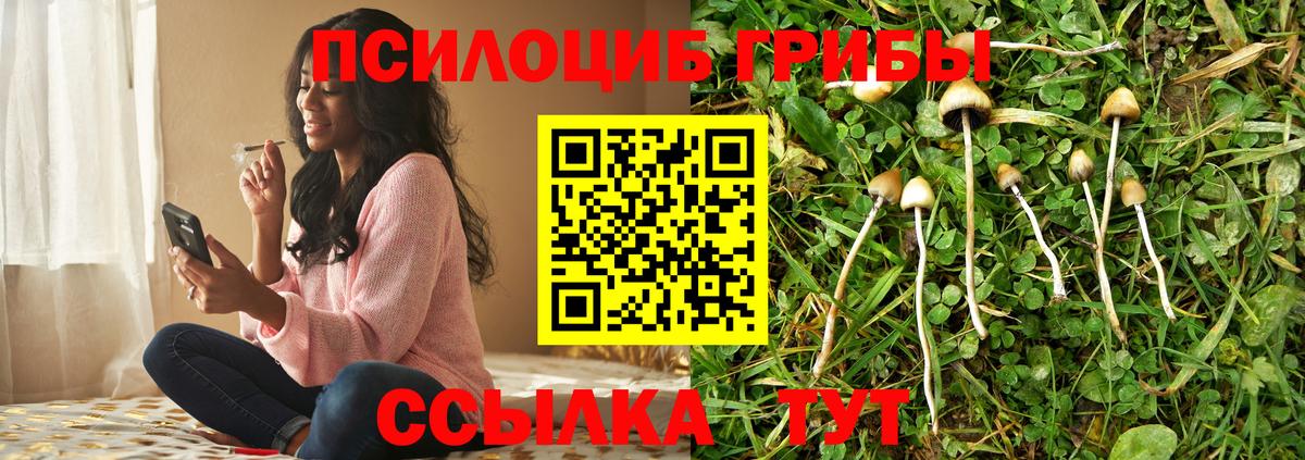Псилоцибиновые грибы Psilocybe  Псилоцибиновые грибы Psilocybe  Вход с VPN  Урай 