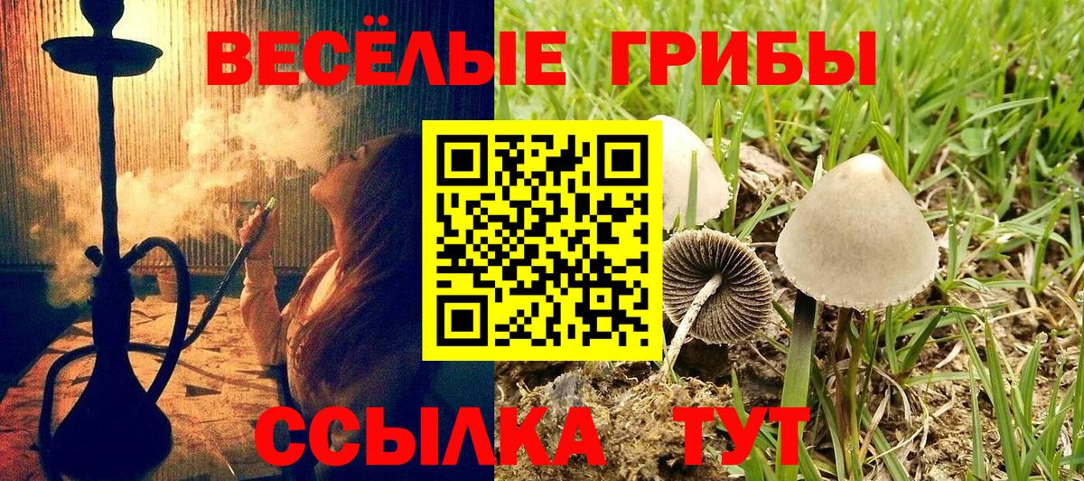 Галлюциногенные грибы MAGIC MUSHROOMS  Урай 
